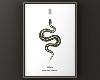 GHI モハベボールパイソン アートプリント、生物学的イラスト、ヘビの壁飾り