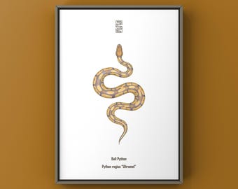 Impresión artística de pitón bola Ultramel, ilustración biológica, decoración de pared con serpientes