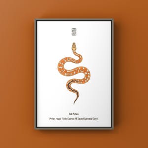 Enchi Cypress YB Special Clown Ball Python Art Print, Python regius, Multi-Gene Designer Python Illustration Featuring Complex Patterns