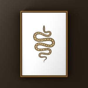 Reticulated Python Python reticulatus art print by The Morph Archive, python illustration by Mingo X.