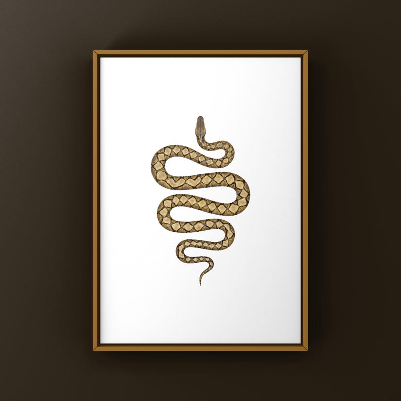 Reticulated Python Python reticulatus art print by The Morph Archive, python illustration by Mingo X.