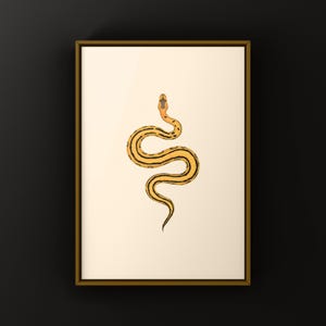 Desert Ghost G-stripe Ball Python Python regius art print by The Morph Archive, ball python morph illustration by Mingo X.