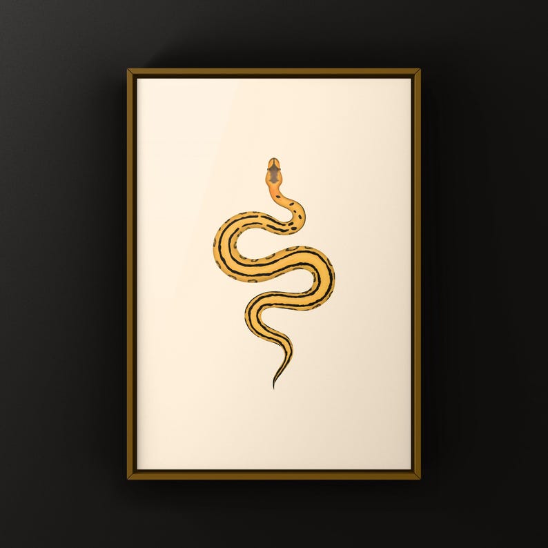 Desert Ghost G-stripe Ball Python Python regius art print by The Morph Archive, ball python morph illustration by Mingo X.