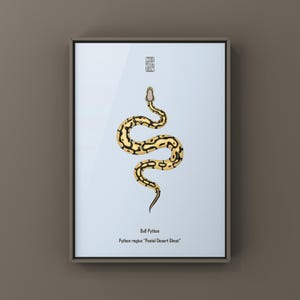 Pastel Desert Ghost Ball Python Python regius art print by The Morph Archive, ball python morph illustration by Mingo X.