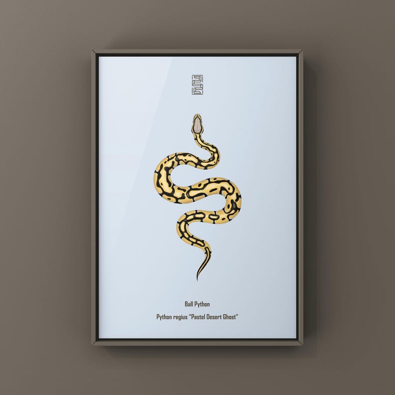 Pastel Desert Ghost Ball Python Python regius art print by The Morph Archive, ball python morph illustration by Mingo X.