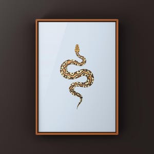 Pompeii Ball Python Python regius art print by The Morph Archive, detailed ball python morph artwork.