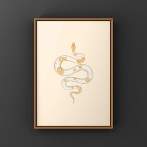 Albino Pied Burmese Python Python bivittatus art print by The Morph Archive, python illustration by Mingo X.