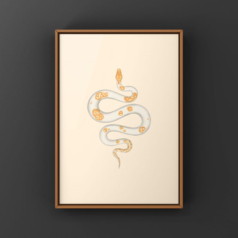 Albino Pied Burmese Python Python bivittatus art print by The Morph Archive, python illustration by Mingo X.