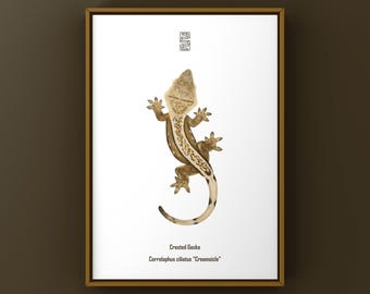 Lámina artística de gecko crestado color crema, ilustración biológica, decoración de pared con forma de serpiente.