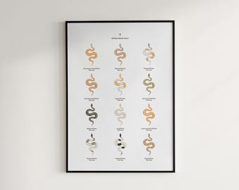 Ball Python Morphs Identification Chart Poster, Reptile Art Print, Exotic Decor