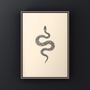 Pewter Ball Python Python regius art print by The Morph Archive, snake morph artwork by Mingo X.