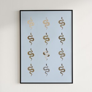 Ball Python poster series 1 Python regius morph collection art print by The Morph Archive, snake artwork by Mingo X.