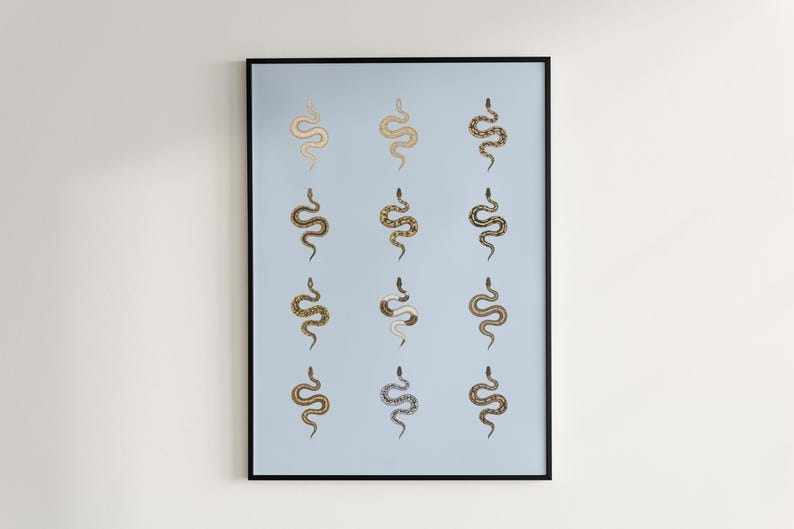 Ball Python poster series 1 Python regius morph collection art print by The Morph Archive, snake artwork by Mingo X.