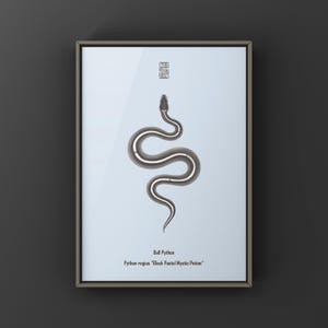 Black Pastel Mystic Potion Ball Python Python regius art print by The Morph Archive, ball python morph illustration by Mingo X.
