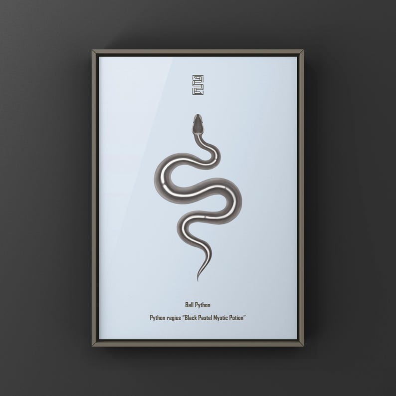 Black Pastel Mystic Potion Ball Python Python regius art print by The Morph Archive, ball python morph illustration by Mingo X.