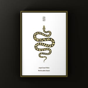 May include: A framed print featuring a black and yellow patterned Jungle Carpet Python illustration on a white background. The text reads Jungle Carpet Python and Morelia spilota cheynei, with a small square geometric logo above the snake.