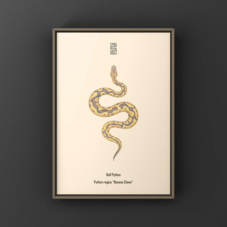 Banana Clown Ball Python Python regius art print by The Morph Archive, designer snake artwork by Mingo X.