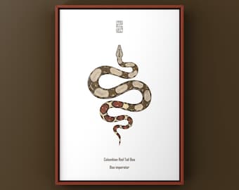 Impresión artística de boa colombiana de cola roja, ilustración biológica, decoración de pared con serpientes
