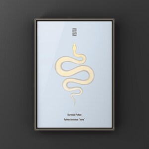 Ivory Burmese Python Python bivittatus art print by The Morph Archive, soft ivory-toned python artwork.