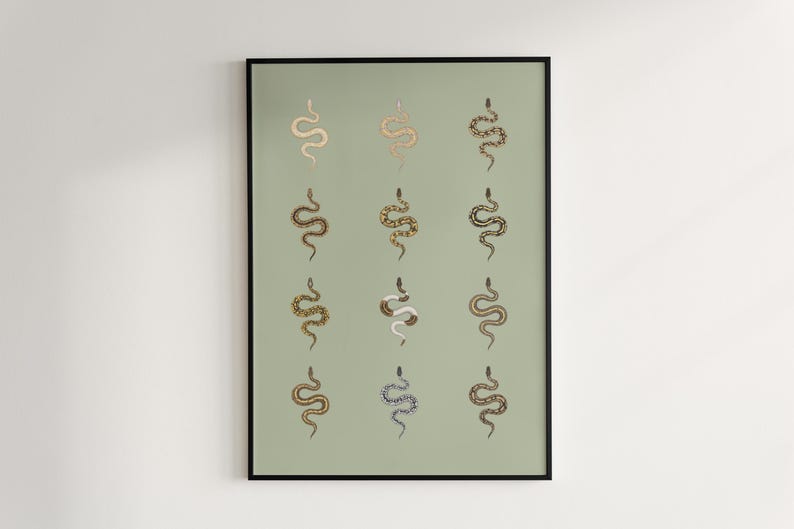 Ball Python poster series 1 Python regius morph collection art print by The Morph Archive, snake artwork by Mingo X.