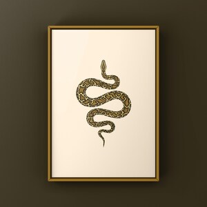 Burmese Python Python bivittatus art print by The Morph Archive, large snake artwork by Mingo X.