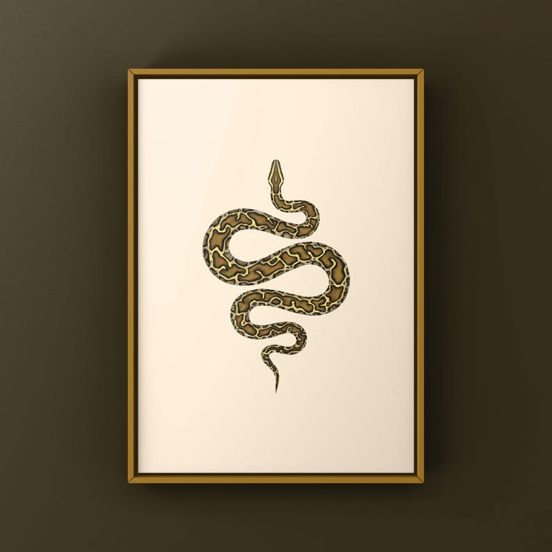 Burmese Python Python bivittatus art print by The Morph Archive, large snake artwork by Mingo X.