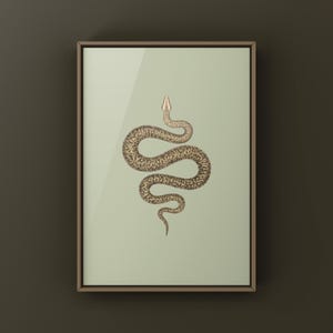 Granite Burmese Python Python bivittatus art print by The Morph Archive, python illustration by Mingo X.