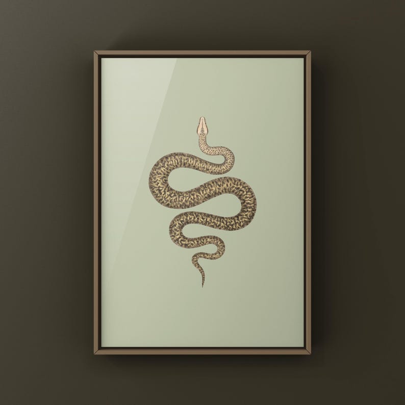Granite Burmese Python Python bivittatus art print by The Morph Archive, python illustration by Mingo X.
