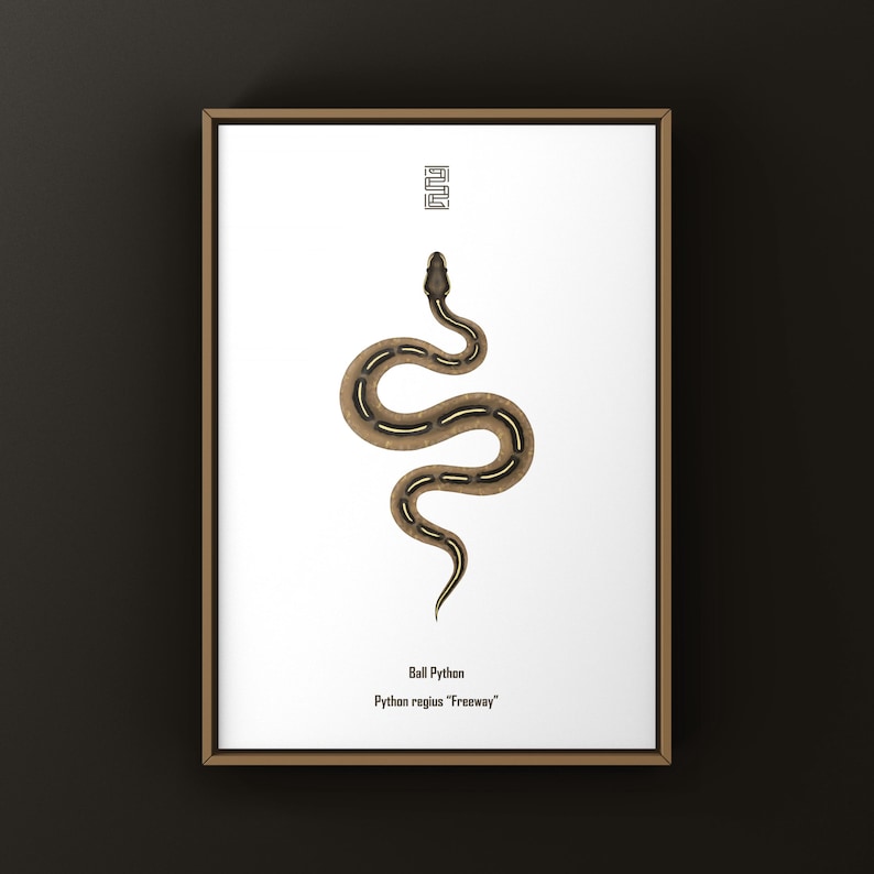 Freeway Ball Python Python regius art print by The Morph Archive, ball python morph illustration by Mingo X.
