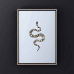 Pewter Ball Python Python regius art print by The Morph Archive, snake morph artwork by Mingo X.