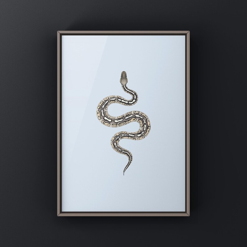 Pewter Ball Python Python regius art print by The Morph Archive, snake morph artwork by Mingo X.