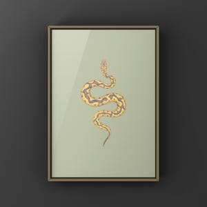 Banana Clown Ball Python Python regius art print by The Morph Archive, designer snake artwork by Mingo X.