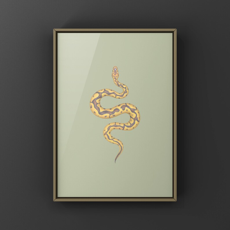 Banana Clown Ball Python Python regius art print by The Morph Archive, designer snake artwork by Mingo X.