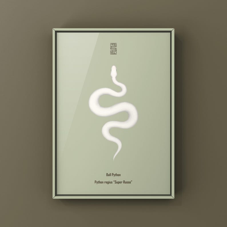 Super Russo Ball Python Python regius art print by The Morph Archive, leucistic snake artwork by Mingo X.