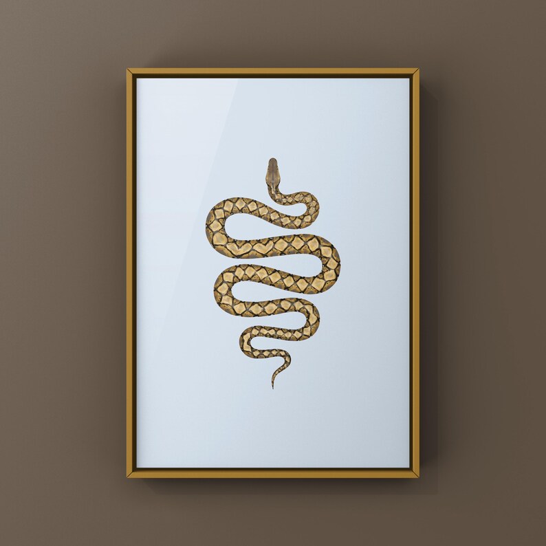 Reticulated Python Python reticulatus art print by The Morph Archive, python illustration by Mingo X.