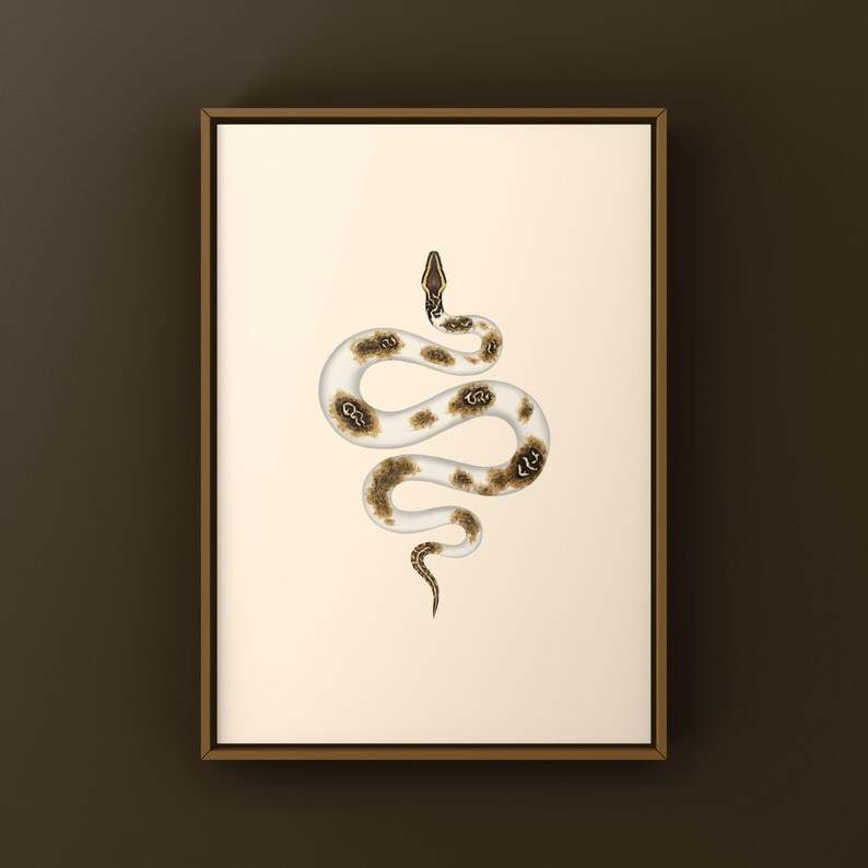 Piebald Burmese Python Python bivittatus art print by The Morph Archive, piebald snake artwork by Mingo X.