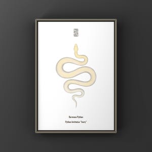 Grafika artystyczna z pytonem birmańskim w kolorze kości słoniowej, Python bivittatus, ilustracja z jasnoróżowym pytonem o czystej, minimalistycznej ekspresji tonalnej
