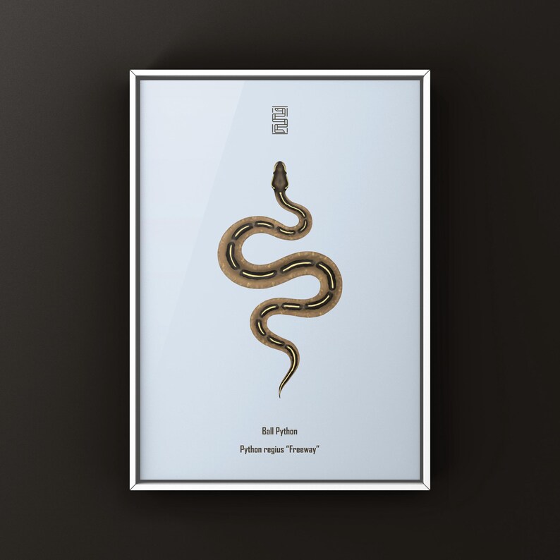 Freeway Ball Python Python regius art print by The Morph Archive, ball python morph illustration by Mingo X.