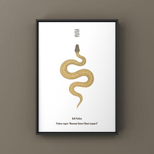 May include: A framed print featuring a detailed illustration of a ball python. The snake is depicted in a coiled pose with a tan and brown spotted pattern against a white background. The text "Ball Python" and scientific name are below the image.