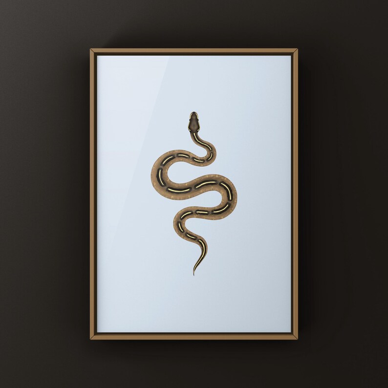 Freeway Ball Python Python regius art print by The Morph Archive, ball python morph illustration by Mingo X.