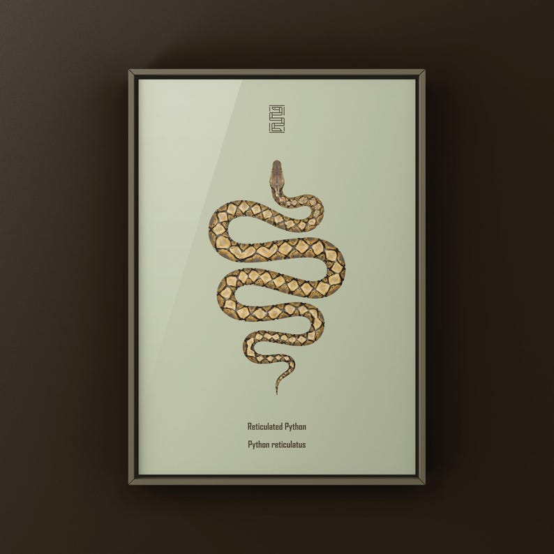 Reticulated Python Python reticulatus art print by The Morph Archive, python illustration by Mingo X.