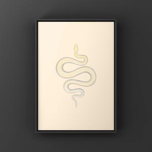 Ivory Burmese Python Python bivittatus art print by The Morph Archive, soft ivory-toned python artwork.