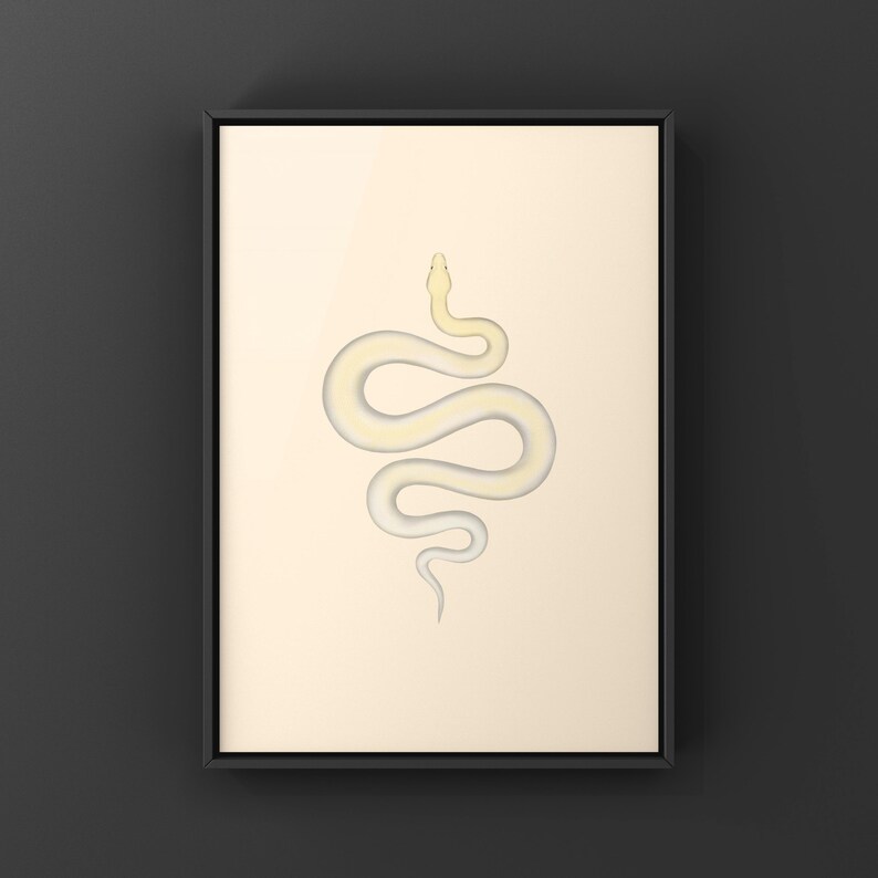Ivory Burmese Python Python bivittatus art print by The Morph Archive, soft ivory-toned python artwork.