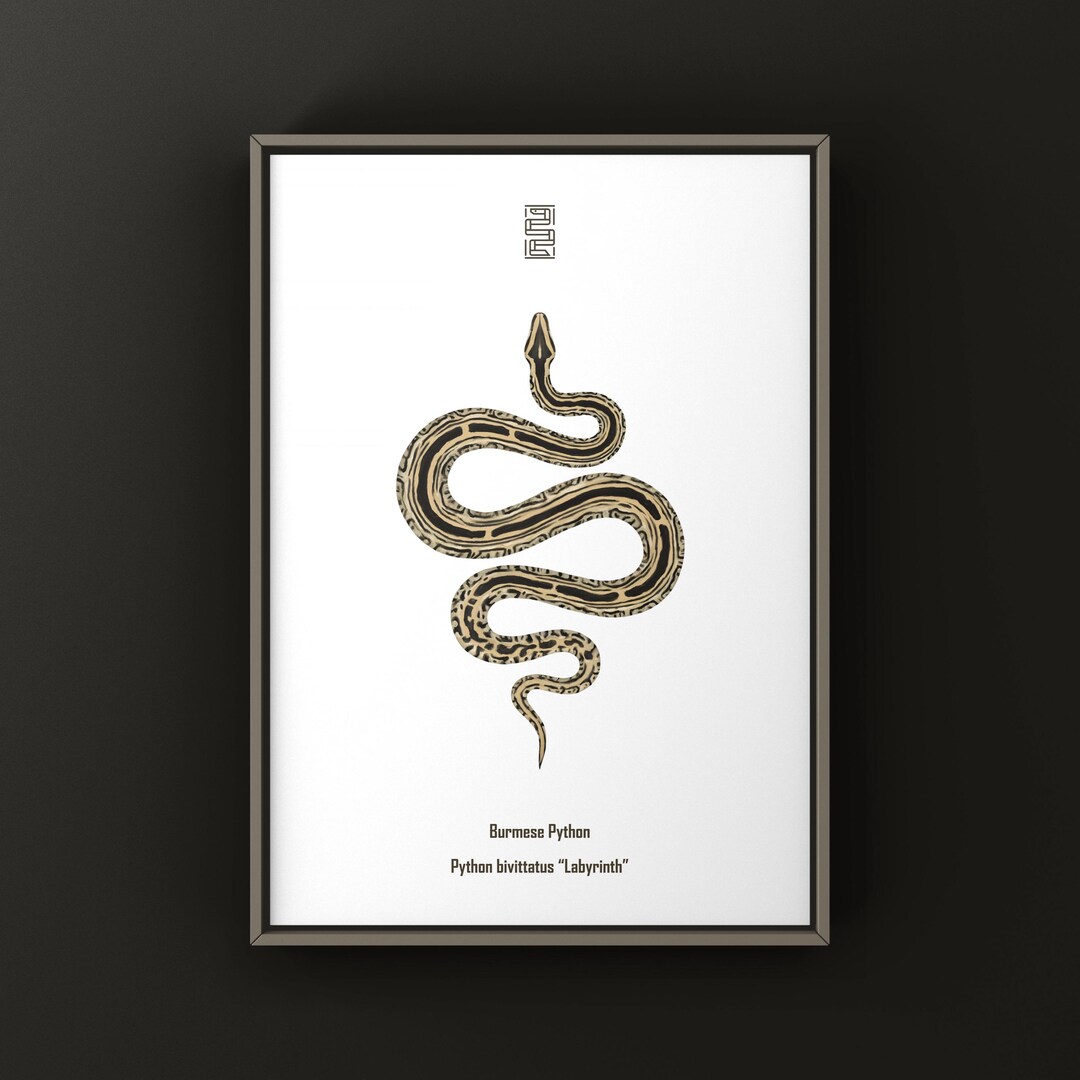 artstation - burmese python Images High Quality Grahic Labyrinth Burmese Python (python Bivittatus) Art Print, Biological ...