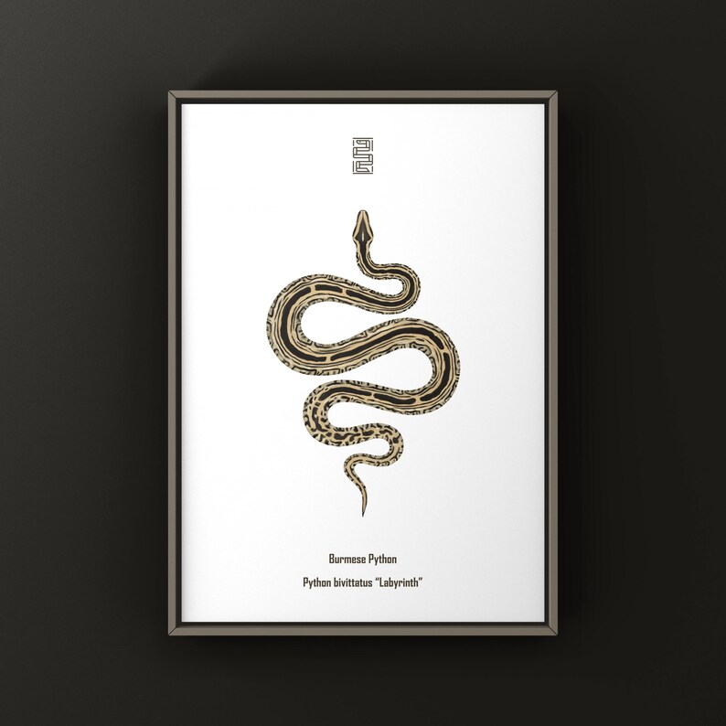 Labyrinth Burmese Python Python bivittatus art print by The Morph Archive, patterned snake artwork by Mingo X.