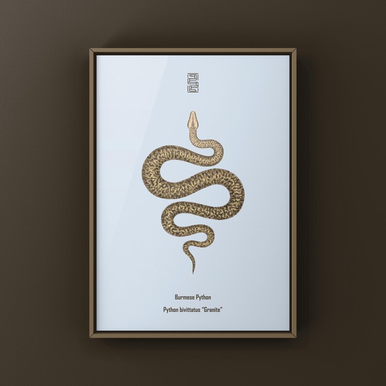 Granite Burmese Python Python bivittatus art print by The Morph Archive, python illustration by Mingo X.