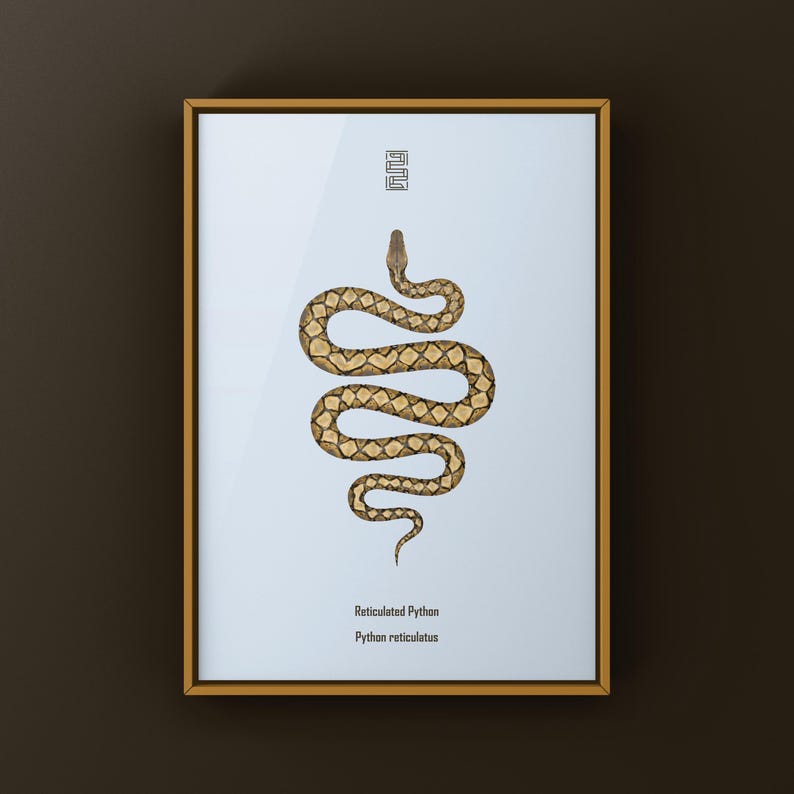 Reticulated Python Python reticulatus art print by The Morph Archive, python illustration by Mingo X.