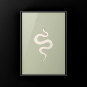 Super Mojave Ball Python Python regius art print by The Morph Archive, leucistic snake artwork by Mingo X.