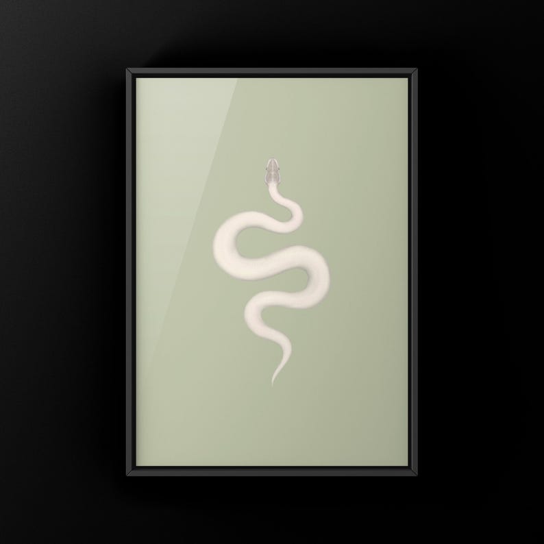 Super Mojave Ball Python Python regius art print by The Morph Archive, leucistic snake artwork by Mingo X.