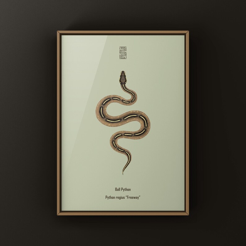 Freeway Ball Python Python regius art print by The Morph Archive, ball python morph illustration by Mingo X.